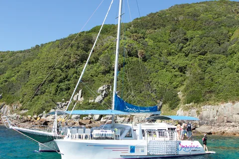 Nelson Bay: Marine Discovery Cruise with Snorkeling