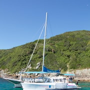 Nelson Bay: Snorkelling - Marine Discovery Cruise