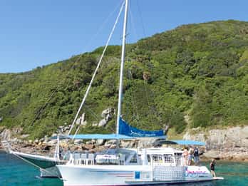Nelson Bay: Marine Discovery Cruise with Snorkeling