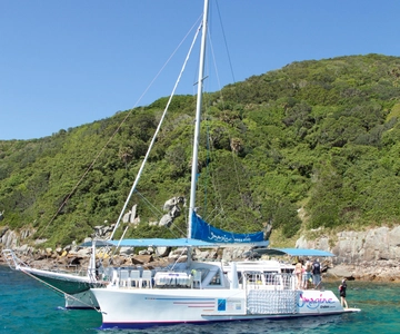 Nelson Bay: Marine Discovery Cruise with Snorkeling