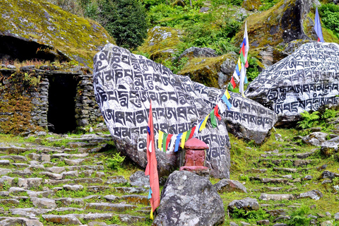 Everest Basiskamp Trek vanuit Lukla