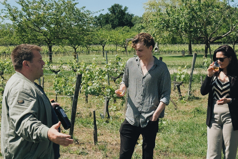 Bordeaux: Winery Tour and Garden Picnic