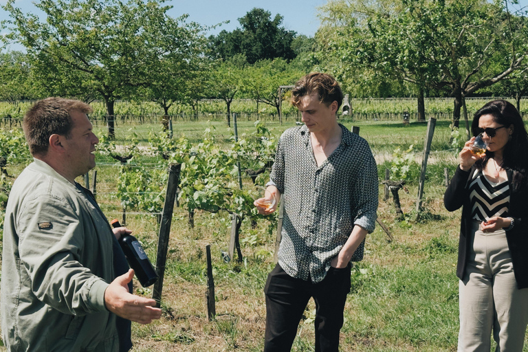 Bordeaux: Winery Tour and Garden Picnic