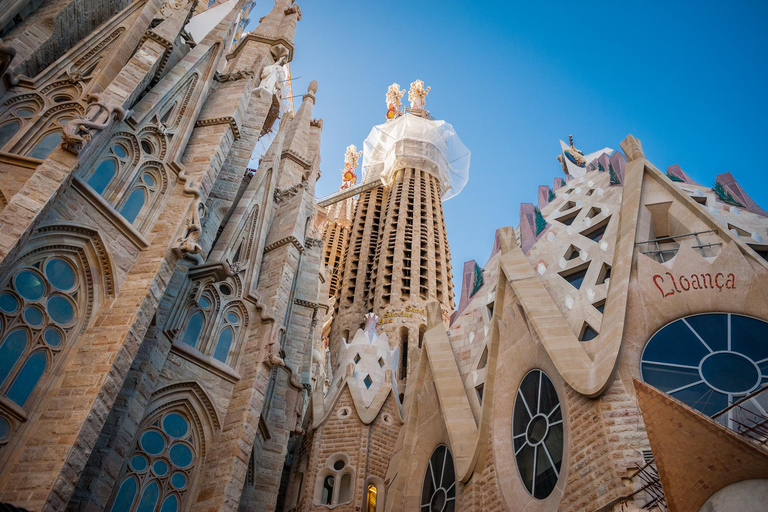 Best of Barcelona: Private Guided Tour with Pick-up