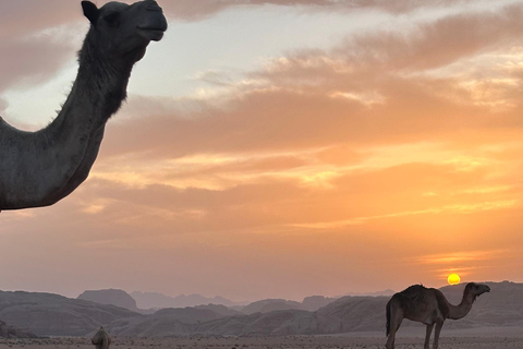Wadi Rum - Sabah Desert Photography Tour