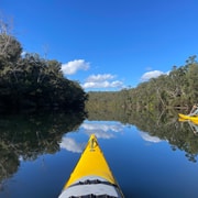 Batemans Bay: Clyde River Kayak Tour with Morning Tea