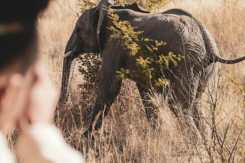 Livingstone: Mosi-oa-Tunya Park, Falls & Sunset Cruise
