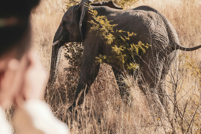 Livingstone: Mosi-oa-Tunya Park, Falls & Sunset Cruise