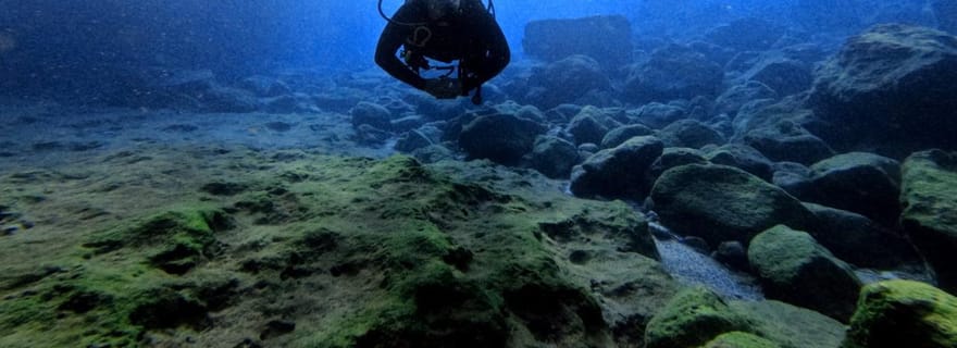 Plongée sous-marine à La Canée : plongées côtières pour plongeurs certifiés