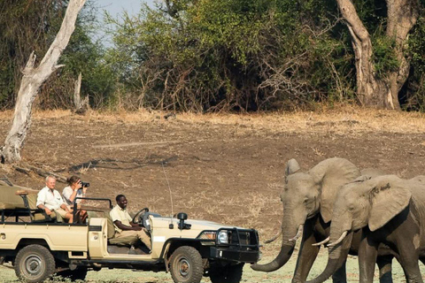 Chobe National Park & Victoria Falls Day Trip