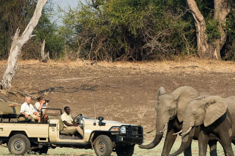 Chobe National Park & Victoria Falls Day Trip
