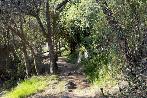 From Santiago: Papudo Horseback Ride & Penguin Watching
