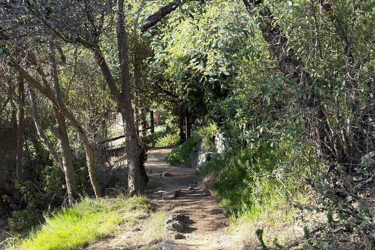 From Santiago: Papudo Horseback Ride & Penguin Watching