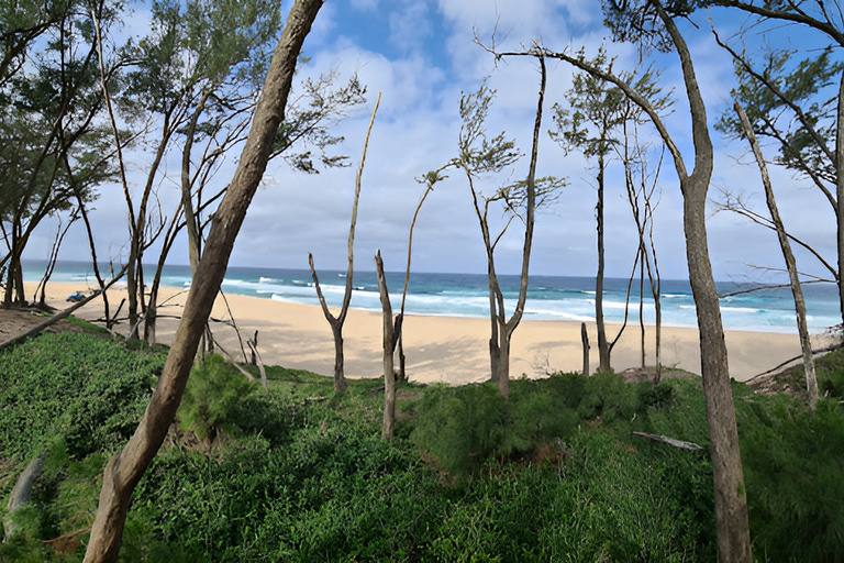 8-dniowa wycieczka safari do Parku Narodowego Krugera, St Lucia i Sodwana