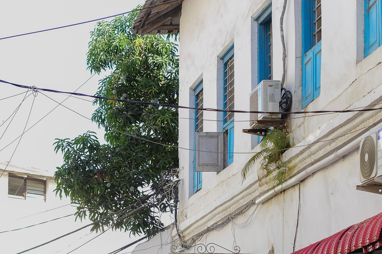 Paje: Privé Transfers van Stone Town naar PajePaje Zanzibar: Privétransfers naar Paje vanuit Stone Town