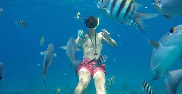 Cozumel: El Cielo, Reefs, and Turtle Sanctuary Snorkeling