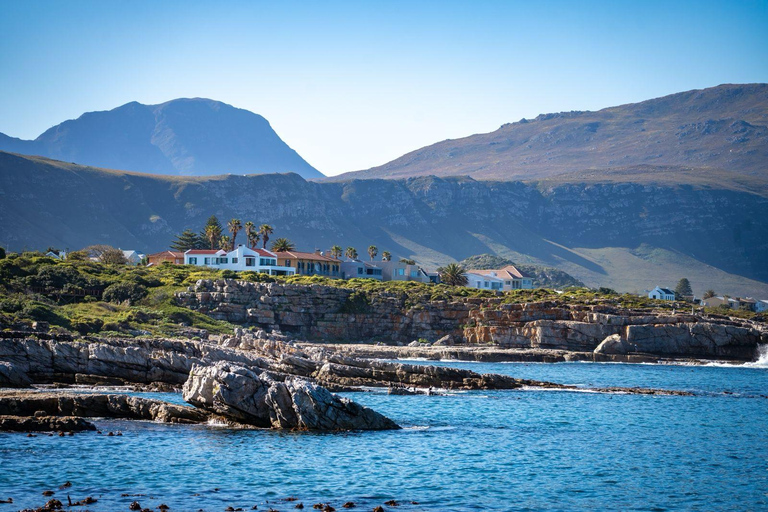 From Cape Town: Hermanus Whale Watching Full Day Tour default