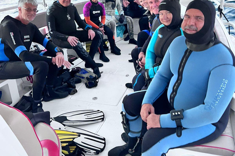 Scuba Diving in Muscat