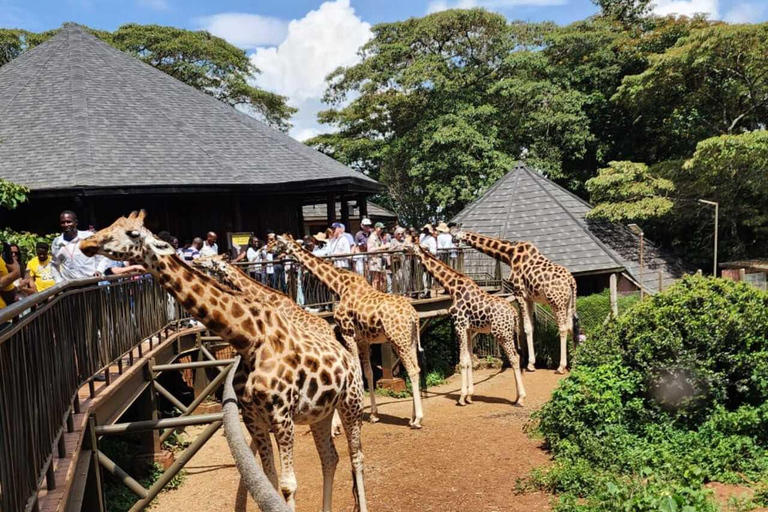 Nairobi: Giraffe Centre Visit and Giraffe Feeding Experience Nairobi: Interactive Giraffe Feeding & Wildlife Education