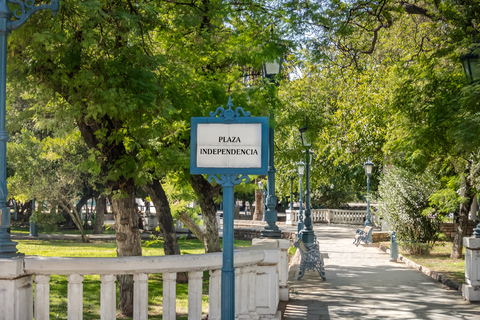 Mendoza: Walking & Wine Tour with Tastings & San Martin Park