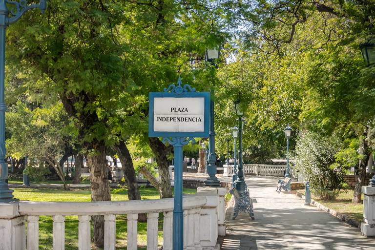 Mendoza: Walking & Wine Tour with Tastings & San Martin Park