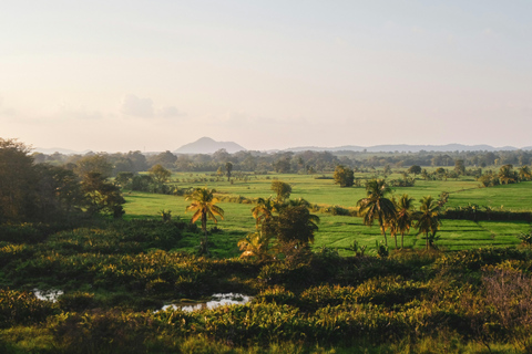 Sri Lanka 4 Days Tour for Short Time Travelers with Hotels With 4 Star Hotels