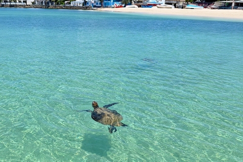 Boa Vista: Snorkeling Tour to 2 Reefs on Djeu Island Group Tour - Uninhabited island snorkel