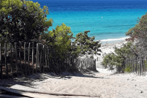 From Calvi: Agriate Guided Jeep Tour to Lotu and Saleccia