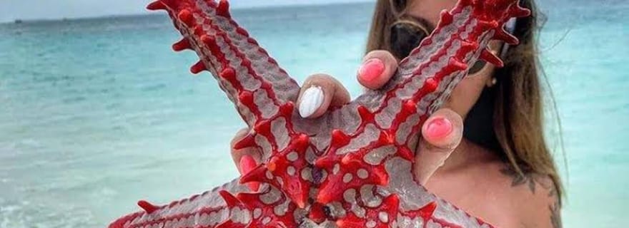 ZANZIBAR : lagon bleu + étoile de mer, Stone Town et ferme aux épices