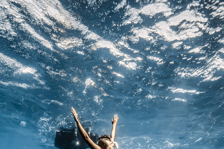 Oahu: Cage-Free Shark Diving Adventure Oahu: Cage-Free Shark Diving Adventure with Photos
