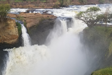 Uganda: 10-dagars safariäventyr från Entebbe