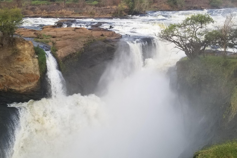 Uganda: 10-dagars safariäventyr från Entebbe