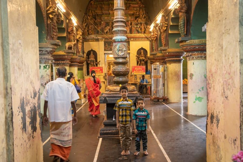 From Chennai: 6-Day Tamil Nadu Temple Tour with Guide