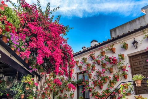 Sevilha a Córdoba com tempo livre ou Mesquita e SinagogaDe Sevilha a Córdoba com tempo livre