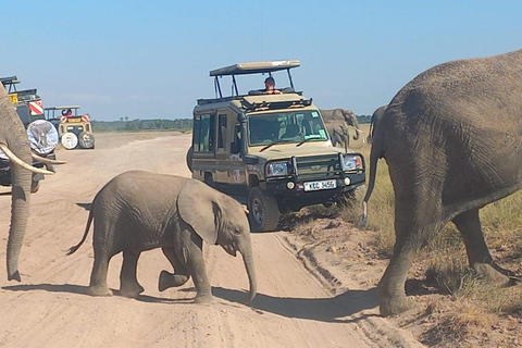 DAY TRIP AMBOSELI NATIONAL PARK FROM NAIROBI BUDGET SAFARI.