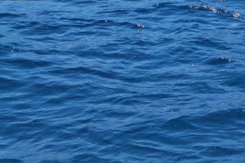 Błękitna Laguna Latchi, transfer autokarem i wycieczka łodzią