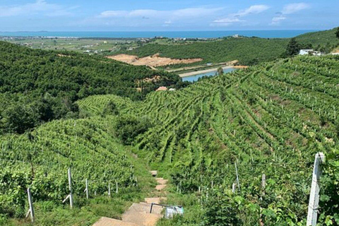 Passeio de degustação de vinhos, passeio opcional pelo pátio de vinhos e passeios de caiaque