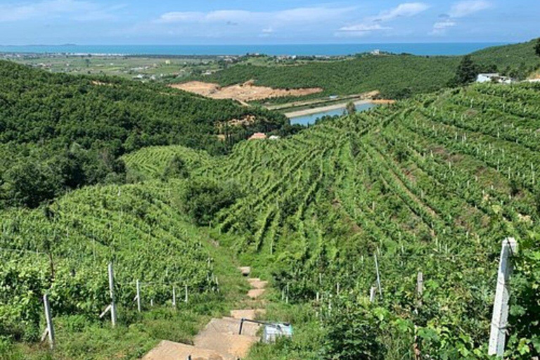 Passeio de degustação de vinhos, passeio opcional pelo pátio de vinhos e passeios de caiaque