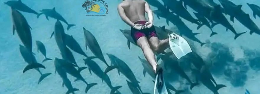 Zanzibar : île de Mnemba, forêt de Jozani et baignade avec les tortues