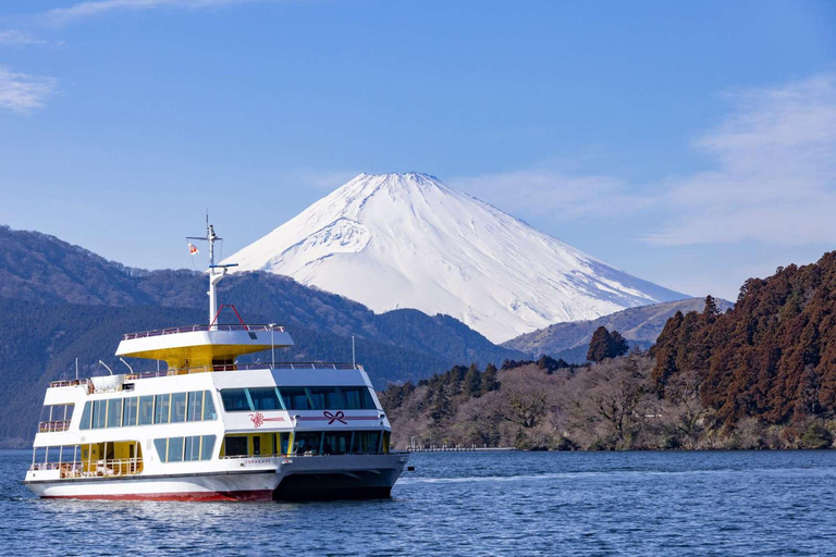 From Tokyo : Mount Fuji Private Day Trip with Hotel Pickup Mount Fuji & Hakone Customize Tour With English Guide