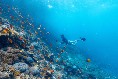 From Bali: Private Half-Day Snorkeling Tour to Nusa Penida Half Day Private Boat Trip with Hotel Transfers