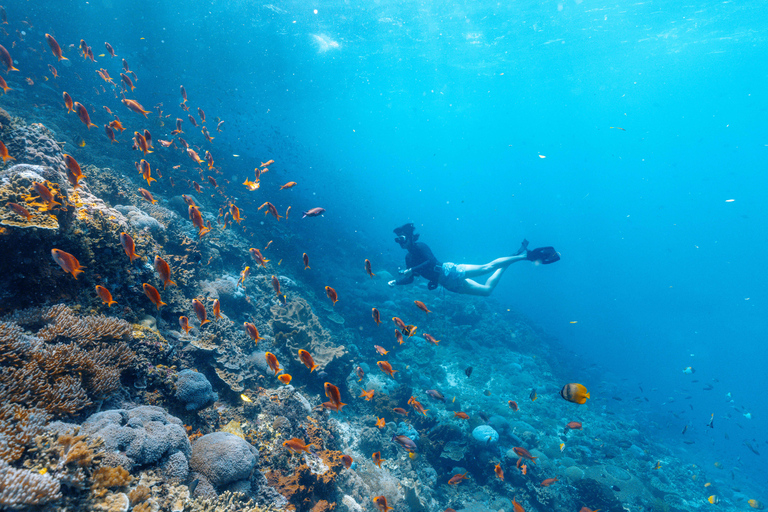 From Bali: Private Half-Day Snorkeling Tour to Nusa Penida Half Day Private Boat Trip with Hotel Transfers