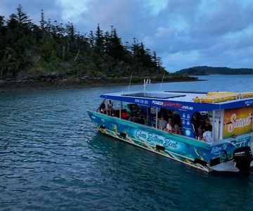 Airlie Beach: Glass-Bottom Boat Tour