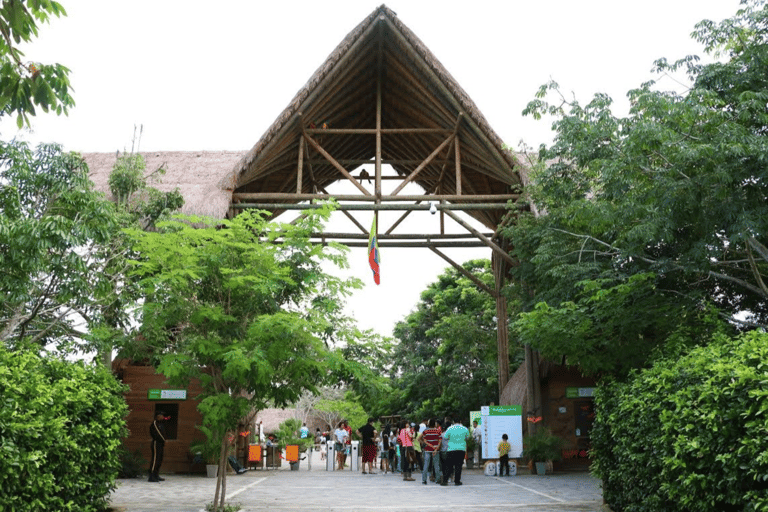 Cartagena: Day Tour to Barú with Admission to the Aviary