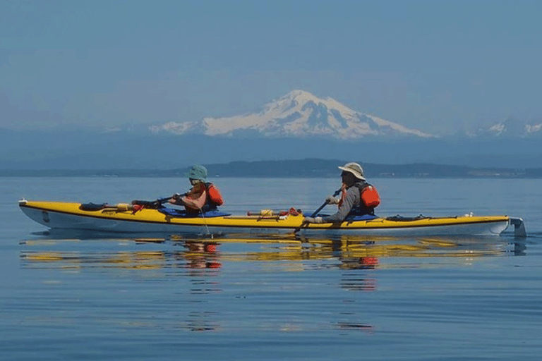 San Juan Island: Half- or Full-Day Lime Kiln Kayak Tour Half Day Lime Kiln Kayak Tour