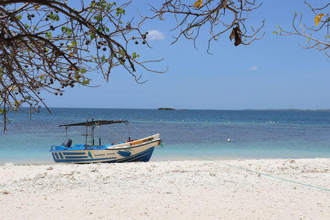 Sri Lanka East Coast Tour (09 Days)