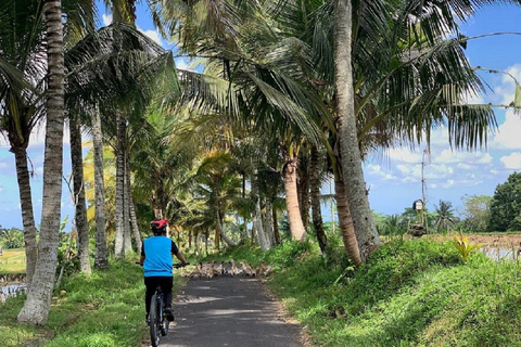 Ubud: Downhill Cycling com vulcão, terraços de arroz e refeição