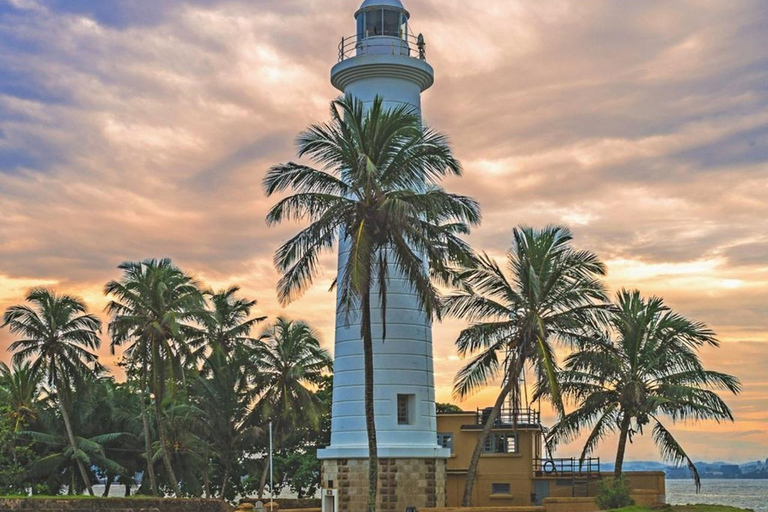 Bentota: Whale Watching, Galle Fort, & Turtle Day Tour
