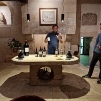 Saint-Émilion Wine Tour por bicicleta eléctrica, almuerzo incluido. - Housity