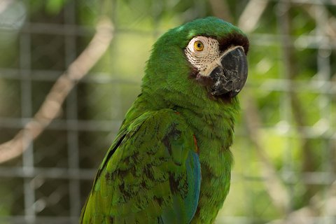 Santa Cruz: Wildlife Sanctuary and Preservation Park Tour